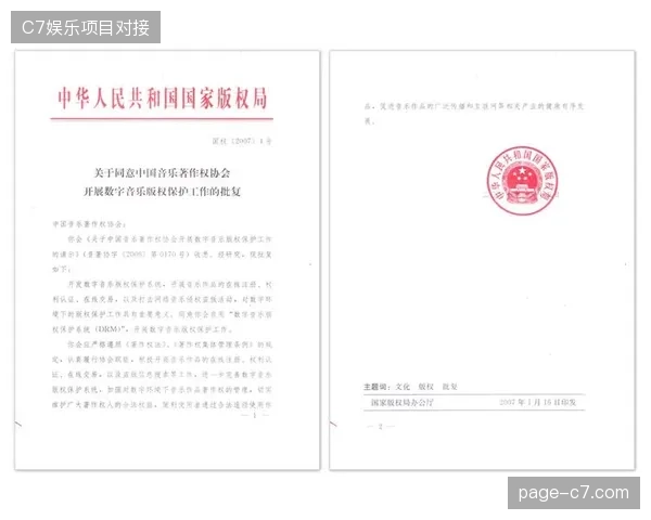 忽视数字版权合规性检查导致赛事赞助商遭受严重隐形资产损耗